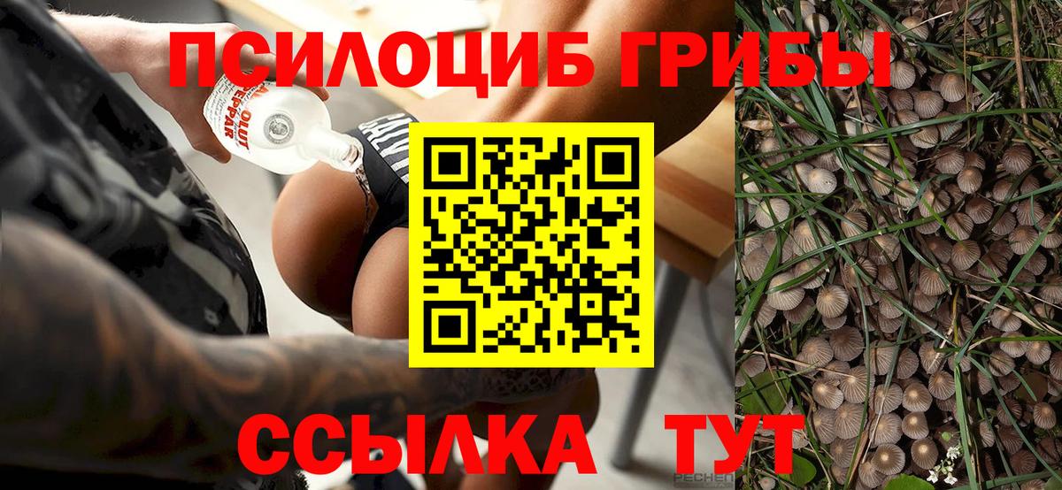 Галлюциногенные грибы прущие грибы Надым
