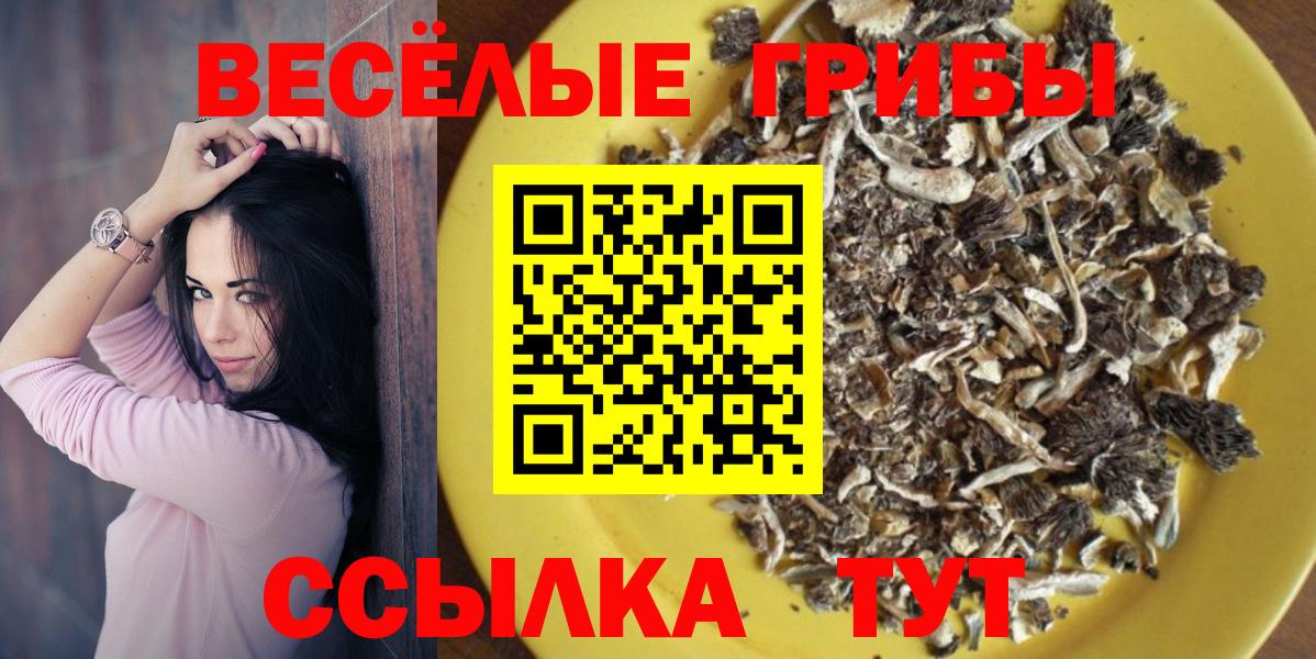Галлюциногенные грибы мухоморы  Вход с VPN  Надым  Галлюциногенные грибы Cubensis 